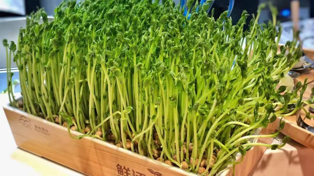 上海虹口火锅攻略,虹口火锅必吃榜第一名