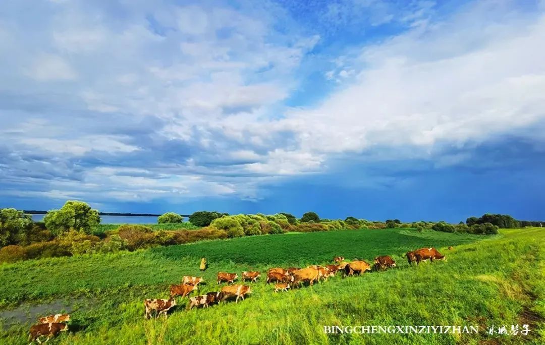 中俄边境线上的小城：逊克，披着“红珠绿边银装”的生态边城