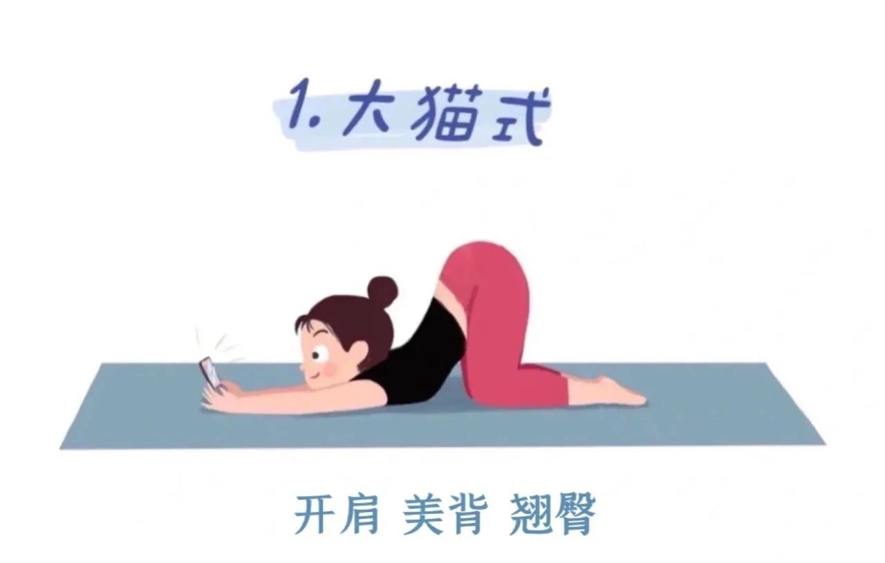 每天练习30分钟狗喘气,狗趴式动作拉伸
