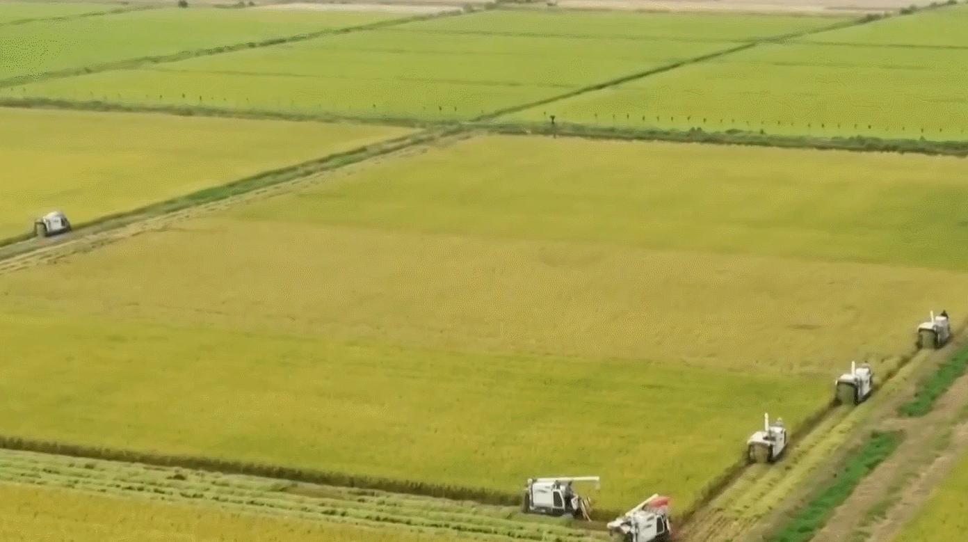 “malimaliHong！”这里有一份颗粒归仓的秘诀→