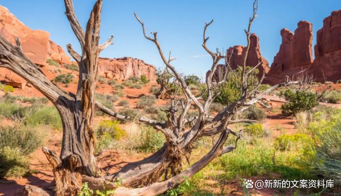 家庭琐事心情烦躁的朋友圈说说,经常莫名其妙发脾气很烦躁的说说