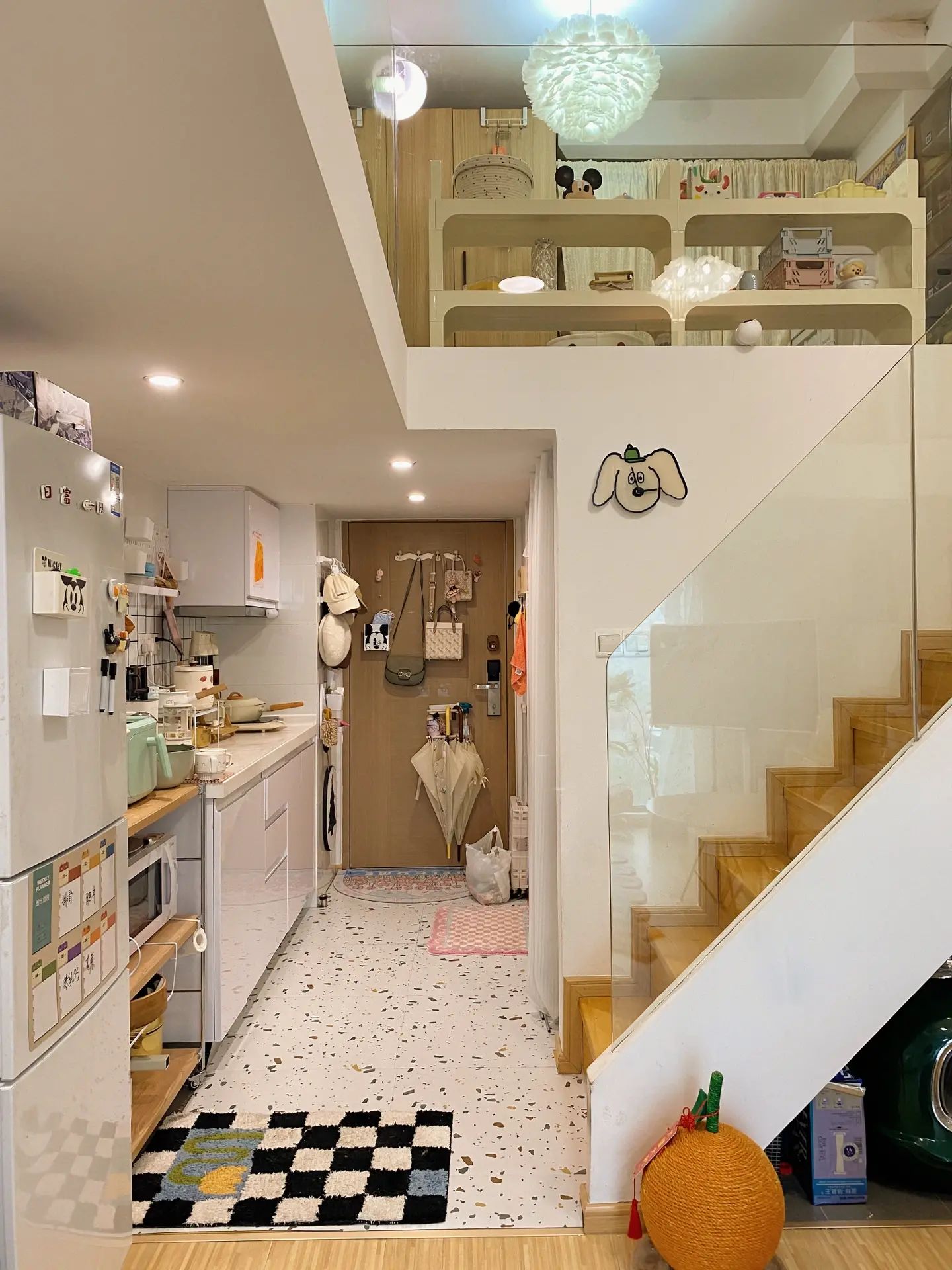 浙江女生晒出40㎡小家，独居养猫，日子过得惬意悠闲，令人羡慕