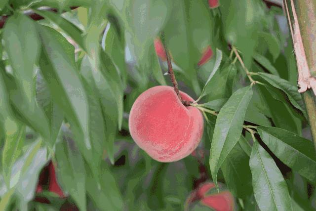 杭州出发2h,睡进千岛湖畔6家美宿，避开人群赏湖景山色丨南方民宿