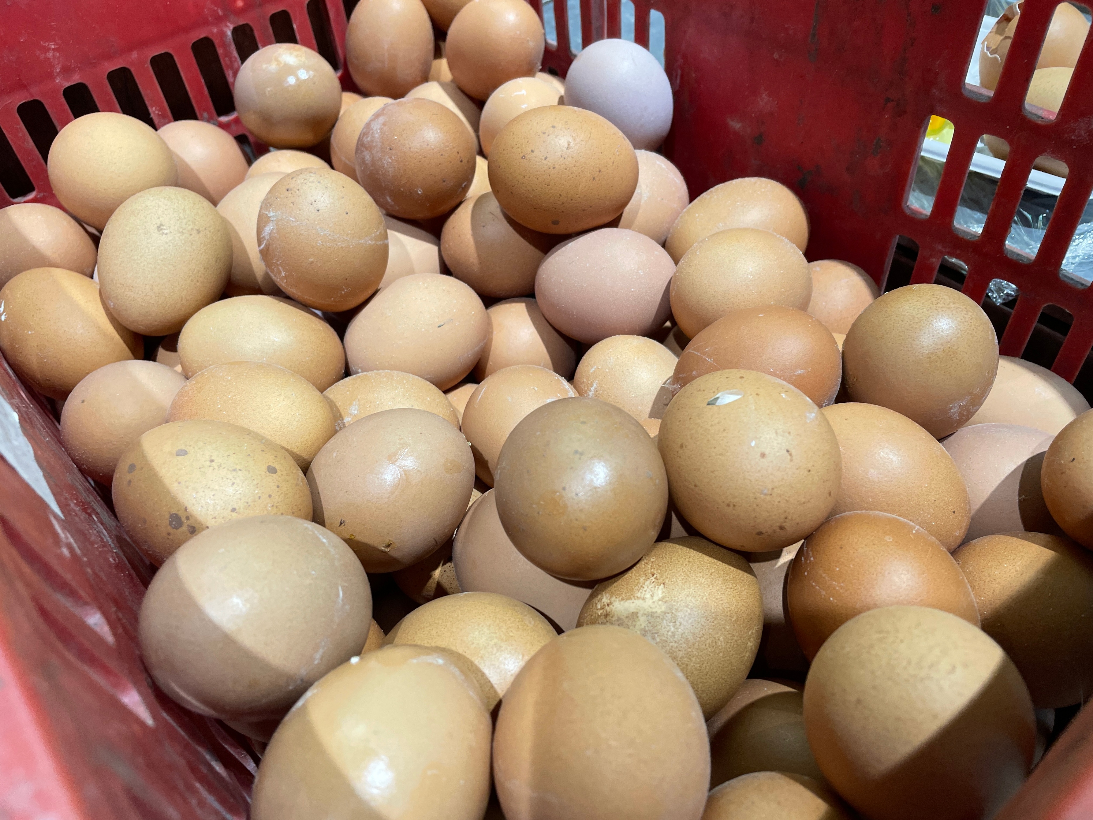 鸡蛋买回直接放冰箱就废了,鸡蛋放冰箱储存的最好方法