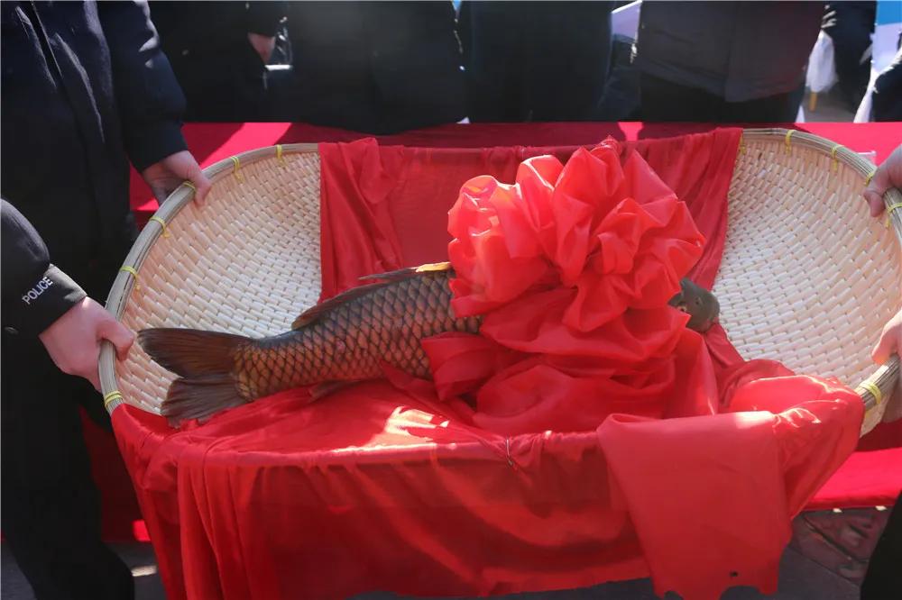 济宁第七届捕鱼节,太白湖捕鱼节2024多长时间结束