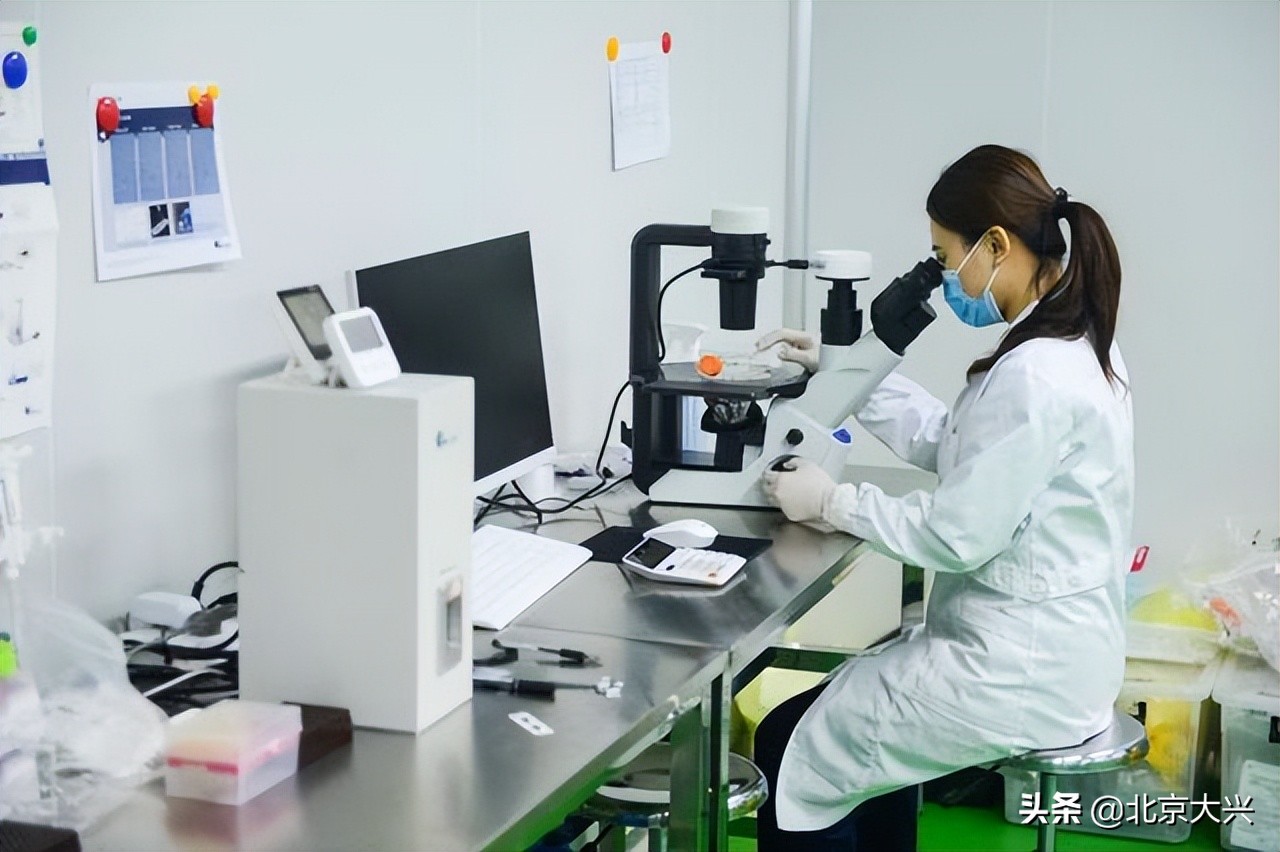 高质量发展看大兴,高质量发展看县域