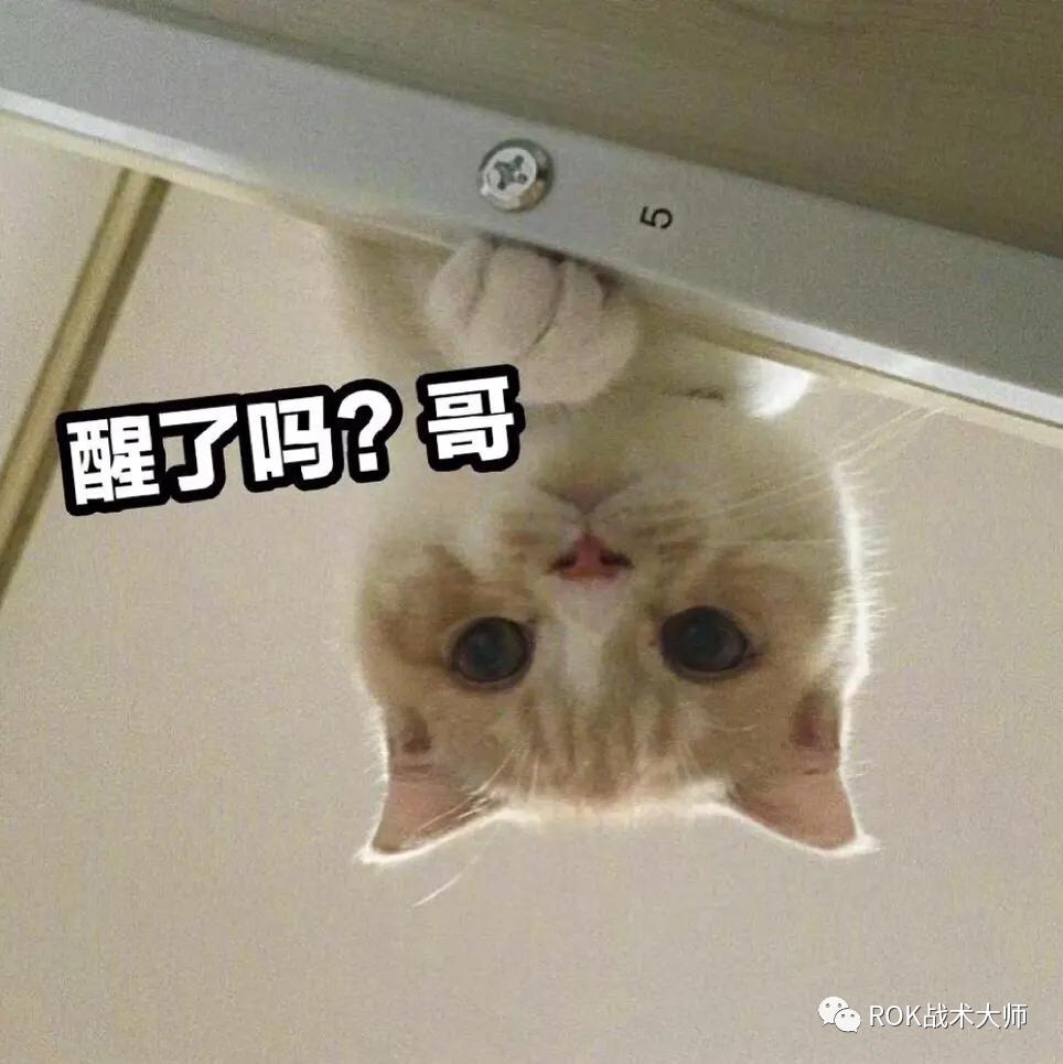 万国觉醒埃塞尔最佳搭配,万国觉醒吉尔伽美什配副将