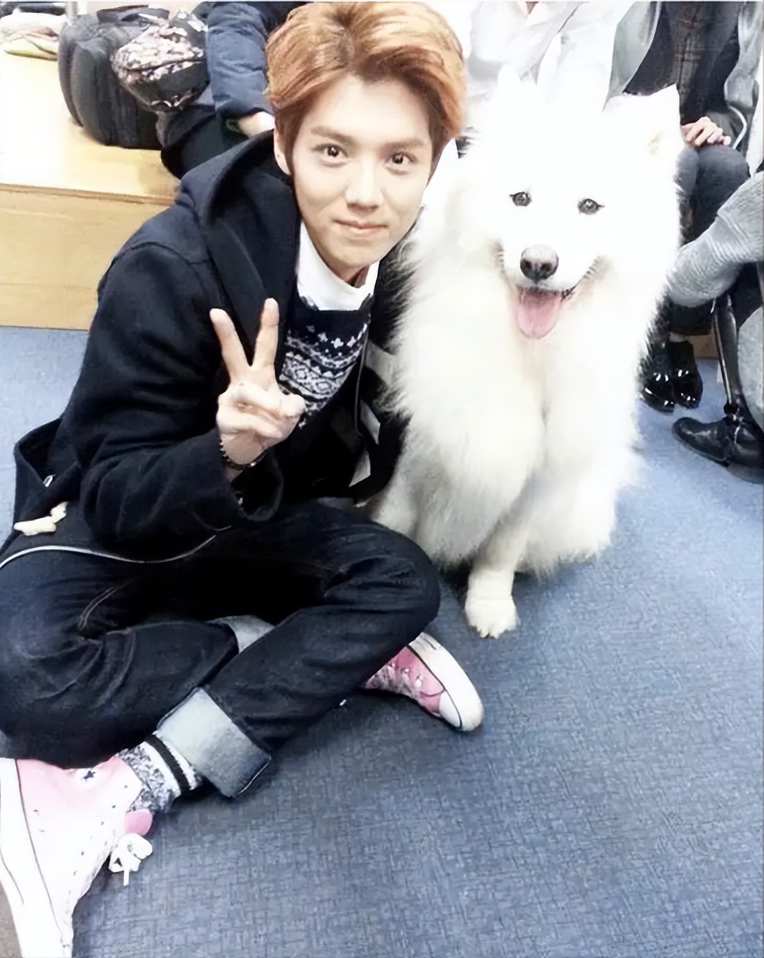 鹿晗公布恋情后为什么不减反增,鹿晗公布恋情当时的状况