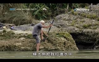 小到钻丁丁，大到吞活人，这片贝爷看了都怕