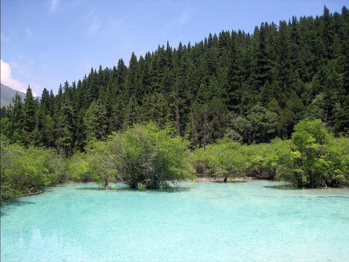 四川九寨沟游玩攻略自由行方案,四川九寨沟玩4天旅游攻略