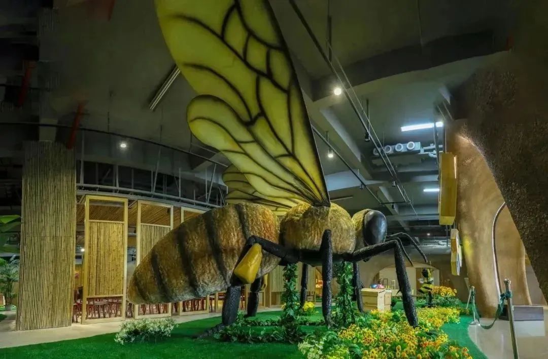 跨越山海一起去探寻古村落的神秘,寻根之旅海外华人