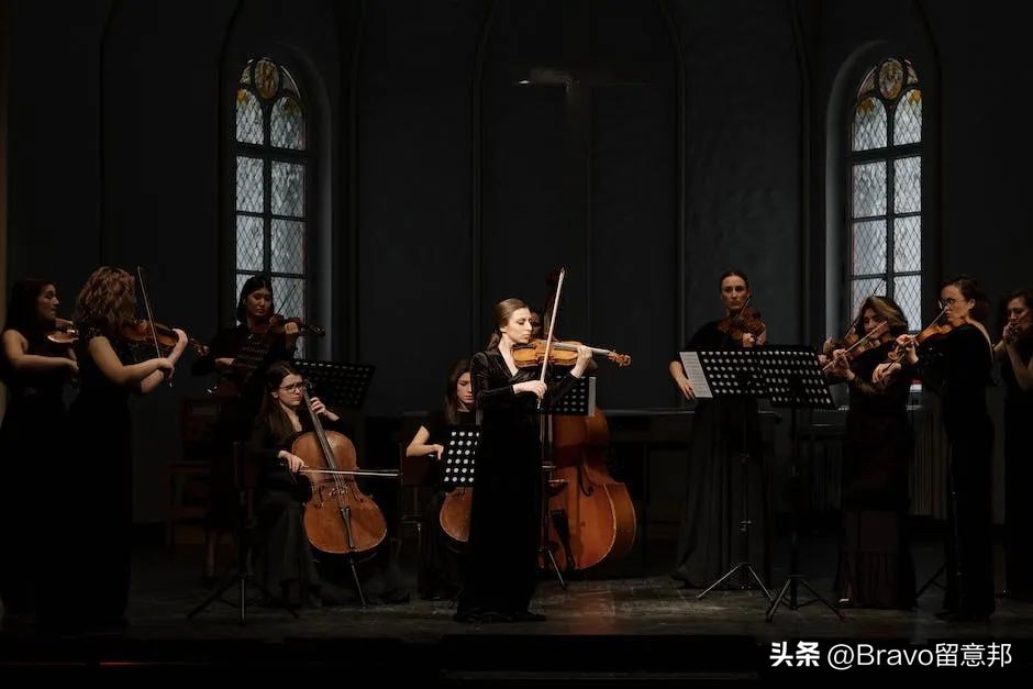 意大利音乐教育专业的学院,意大利声乐专业学校