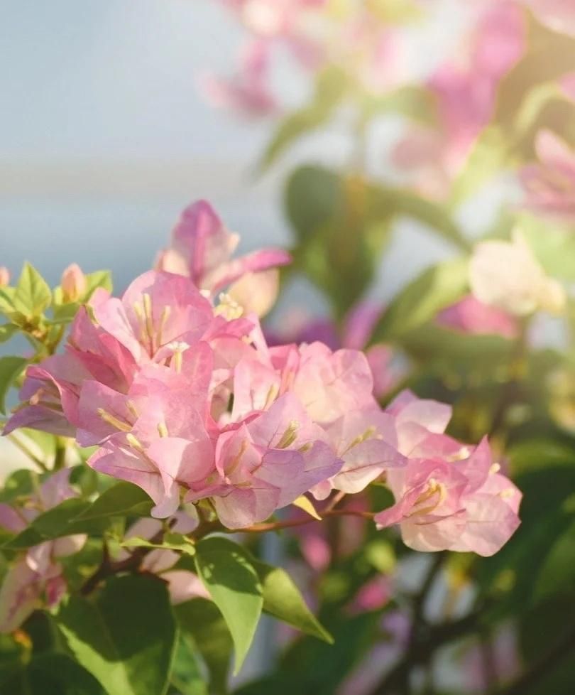 这10首诗词胜过你今年读过的鸡汤,五千年来最有哲理12句诗词太经典