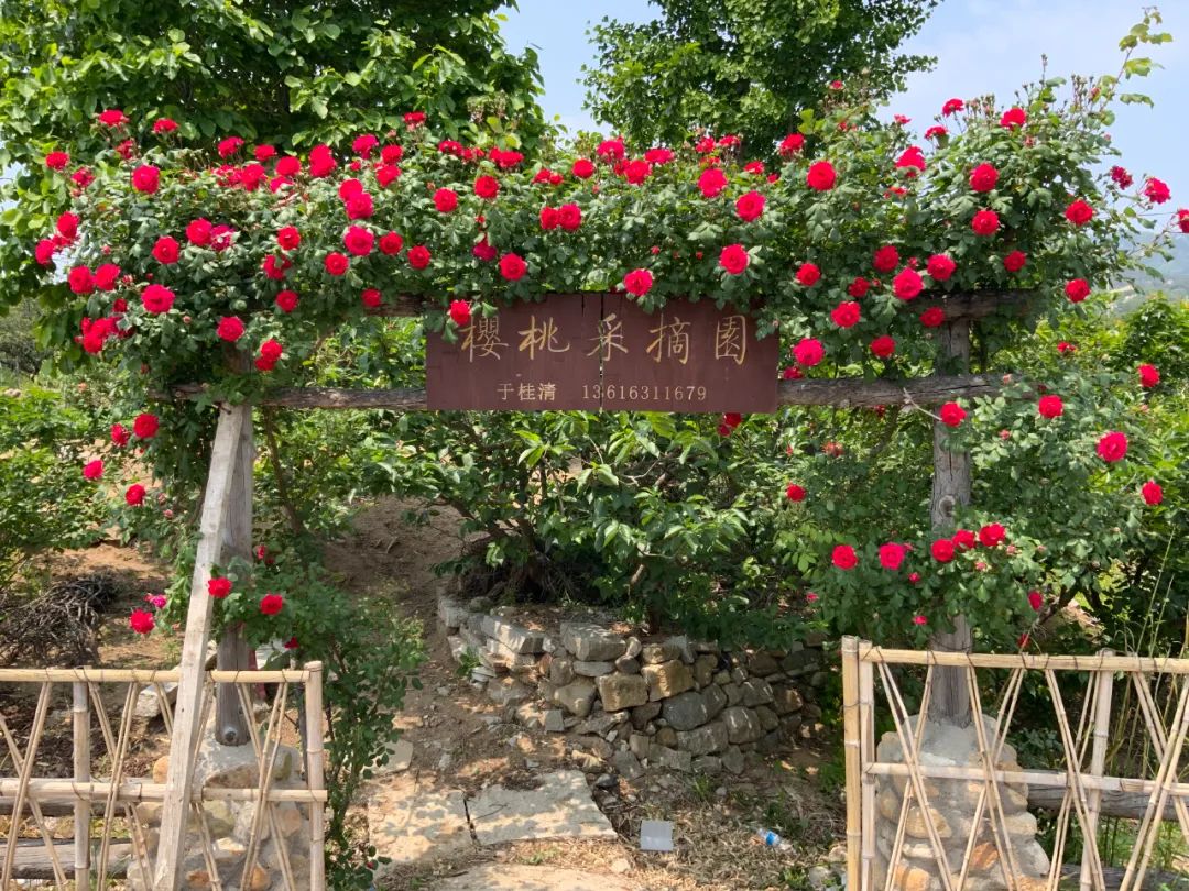 海边城市吃海鲜推荐,海边适合吃海鲜的小众城市