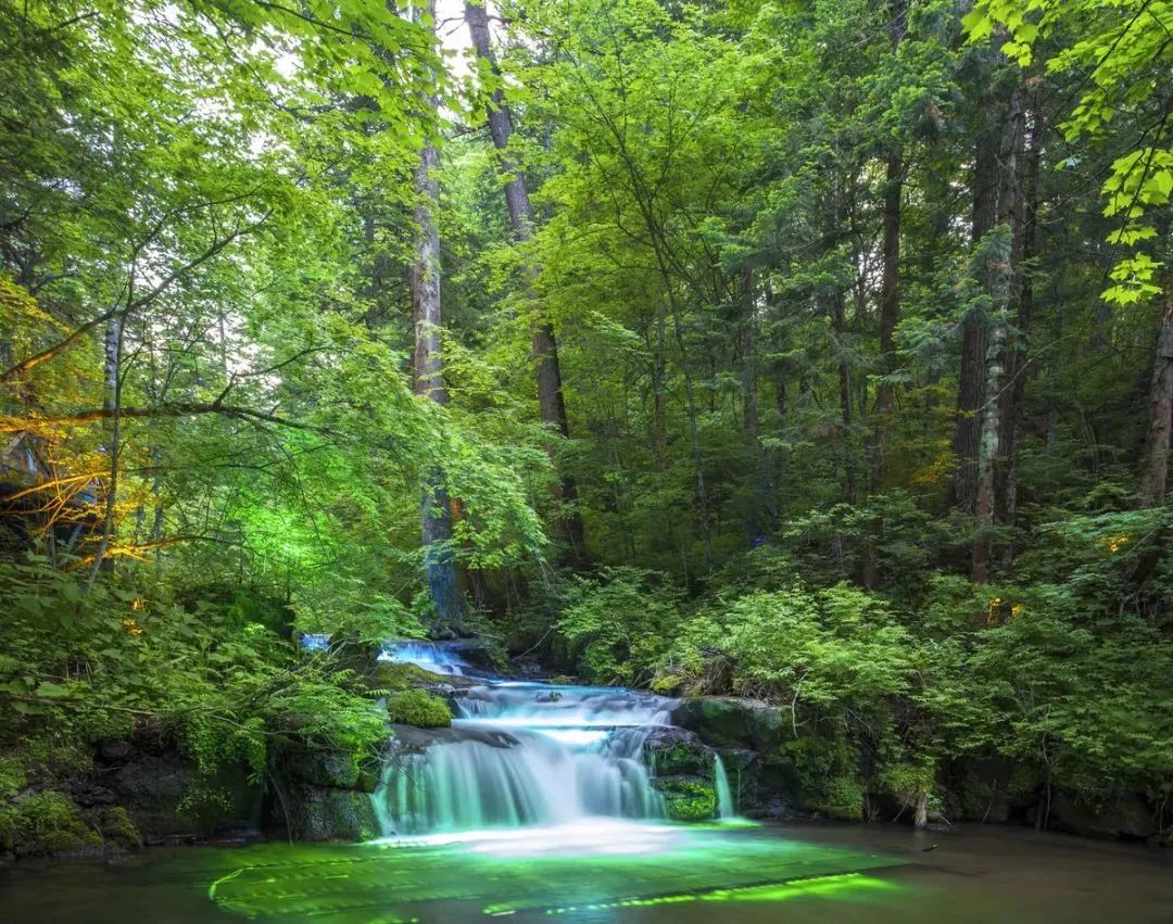 美好的夏天一切都在盛放,一切都从这个美好的夏天开始
