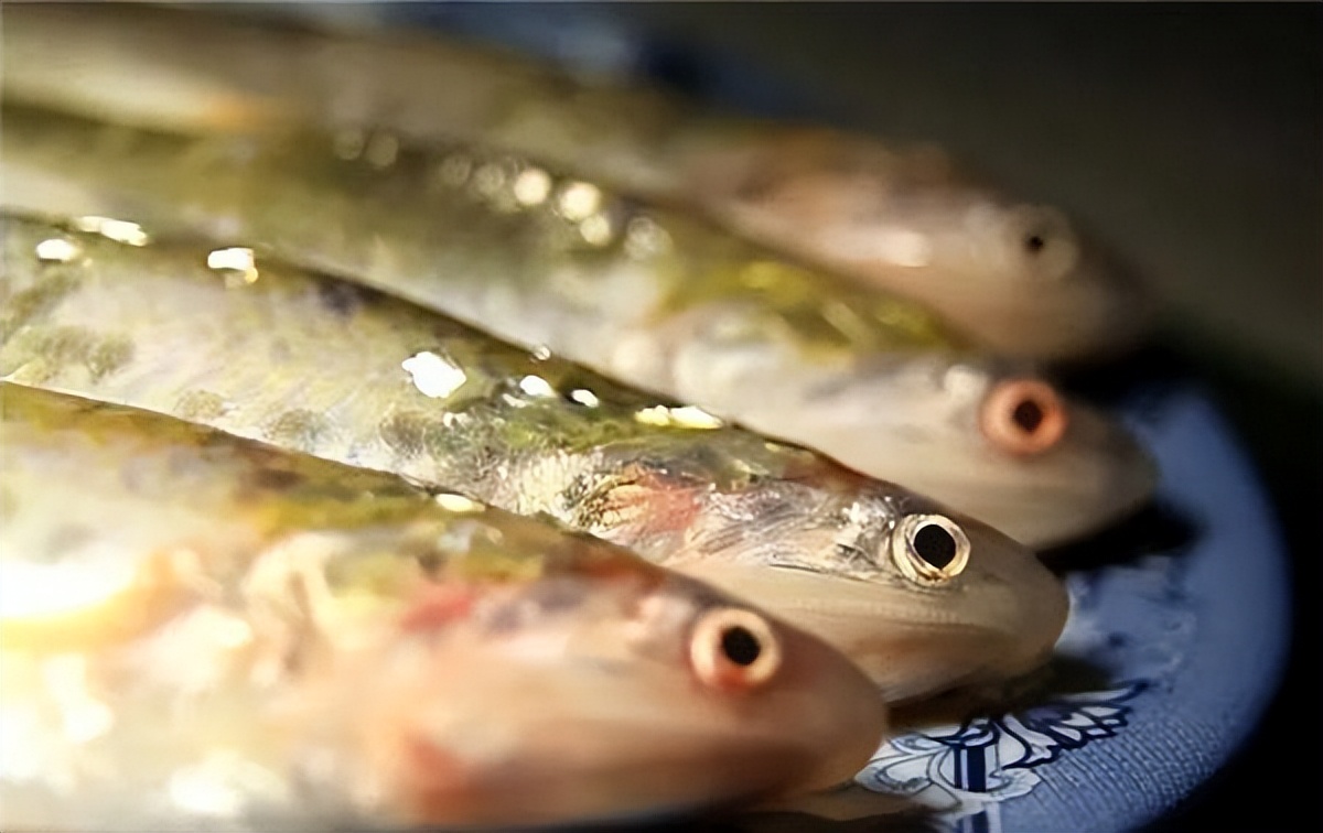 淡水鱼排行榜前十名价格,国内常见淡水鱼价格排行