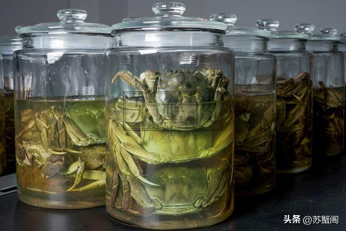 100块一只的大闸蟹是什么规格,100块的超大大闸蟹