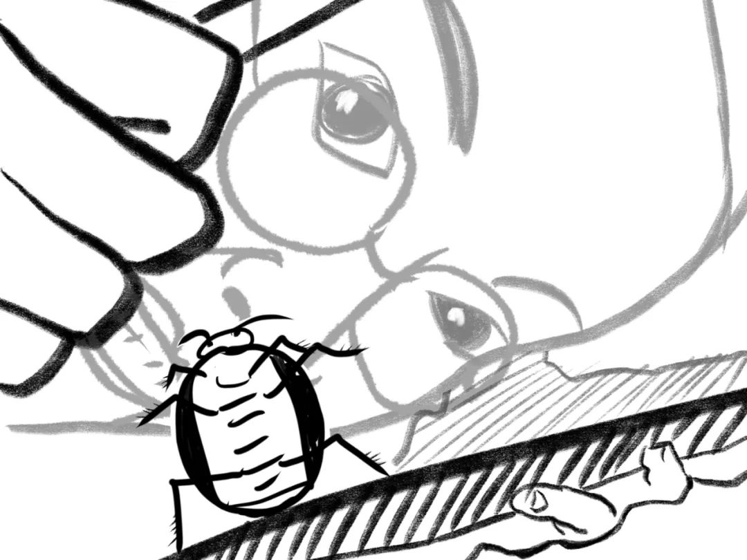 疫情与那些养爬行动物的人