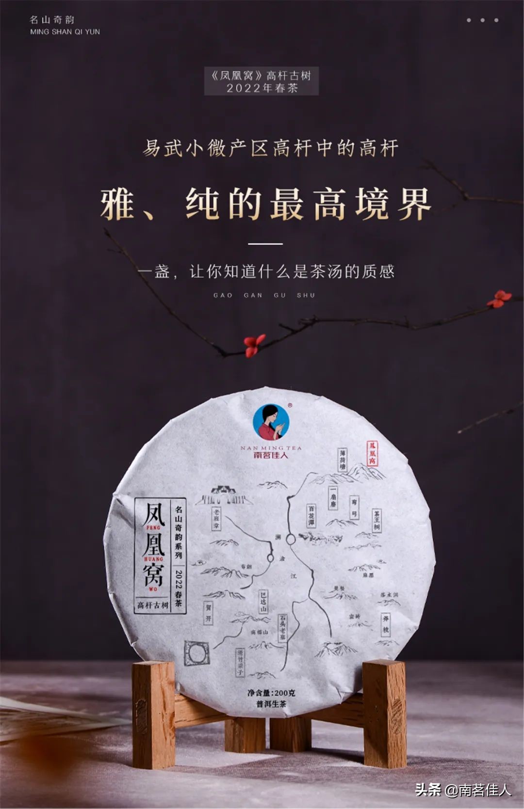 追求之前先了解,高杆茶的基本知识