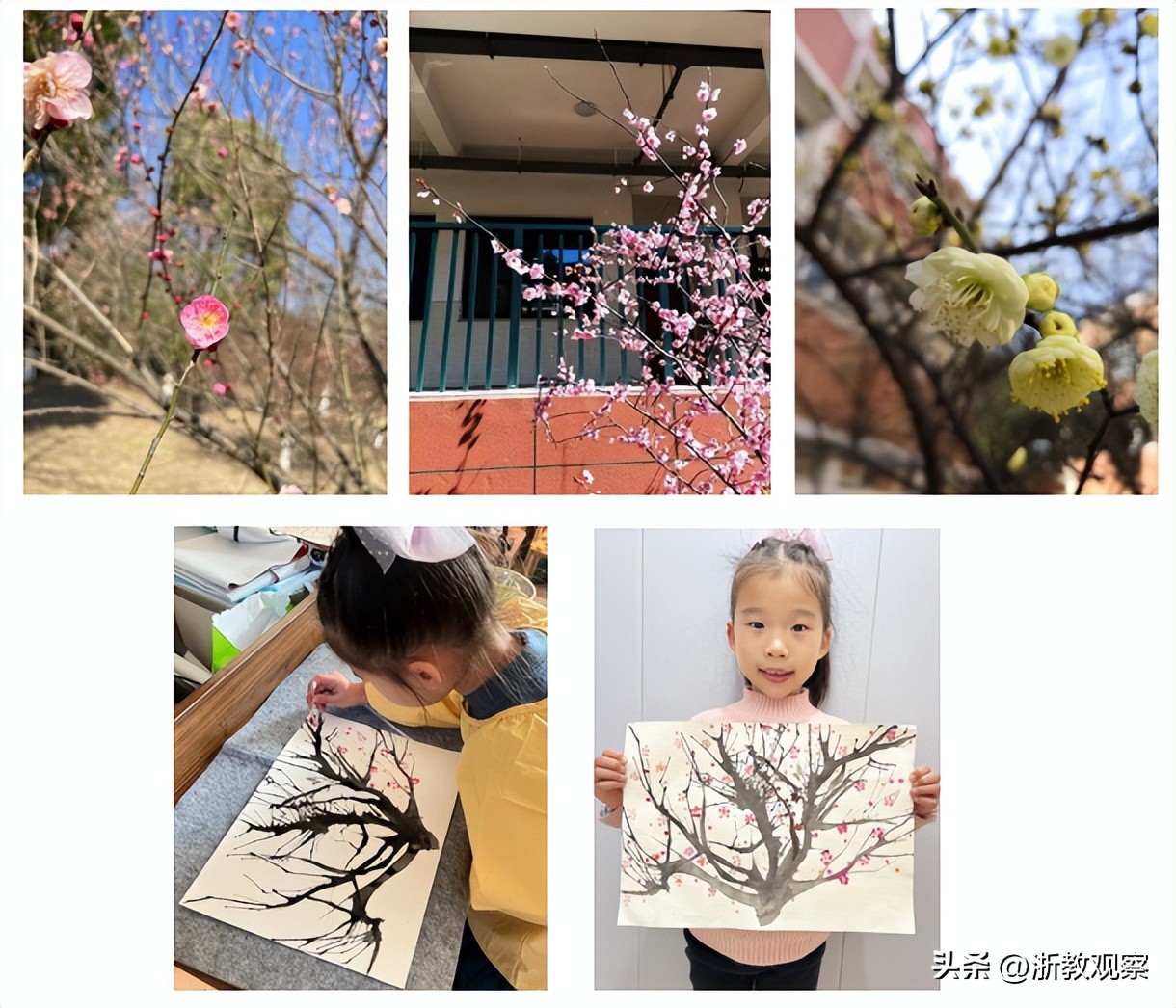 很有创意花样翻新层出不穷,千奇百怪的作业