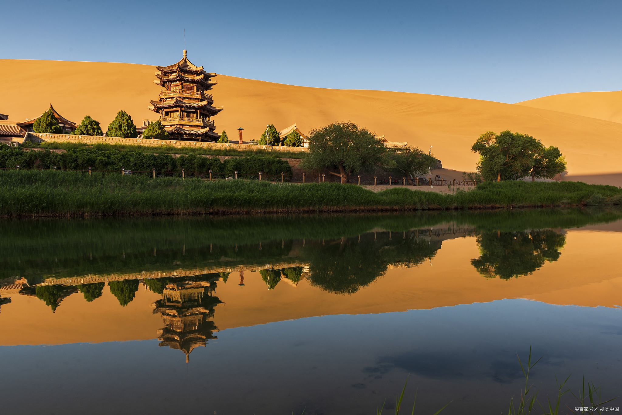 堵骆驼,堵骆驼敦煌骆驼排队上山