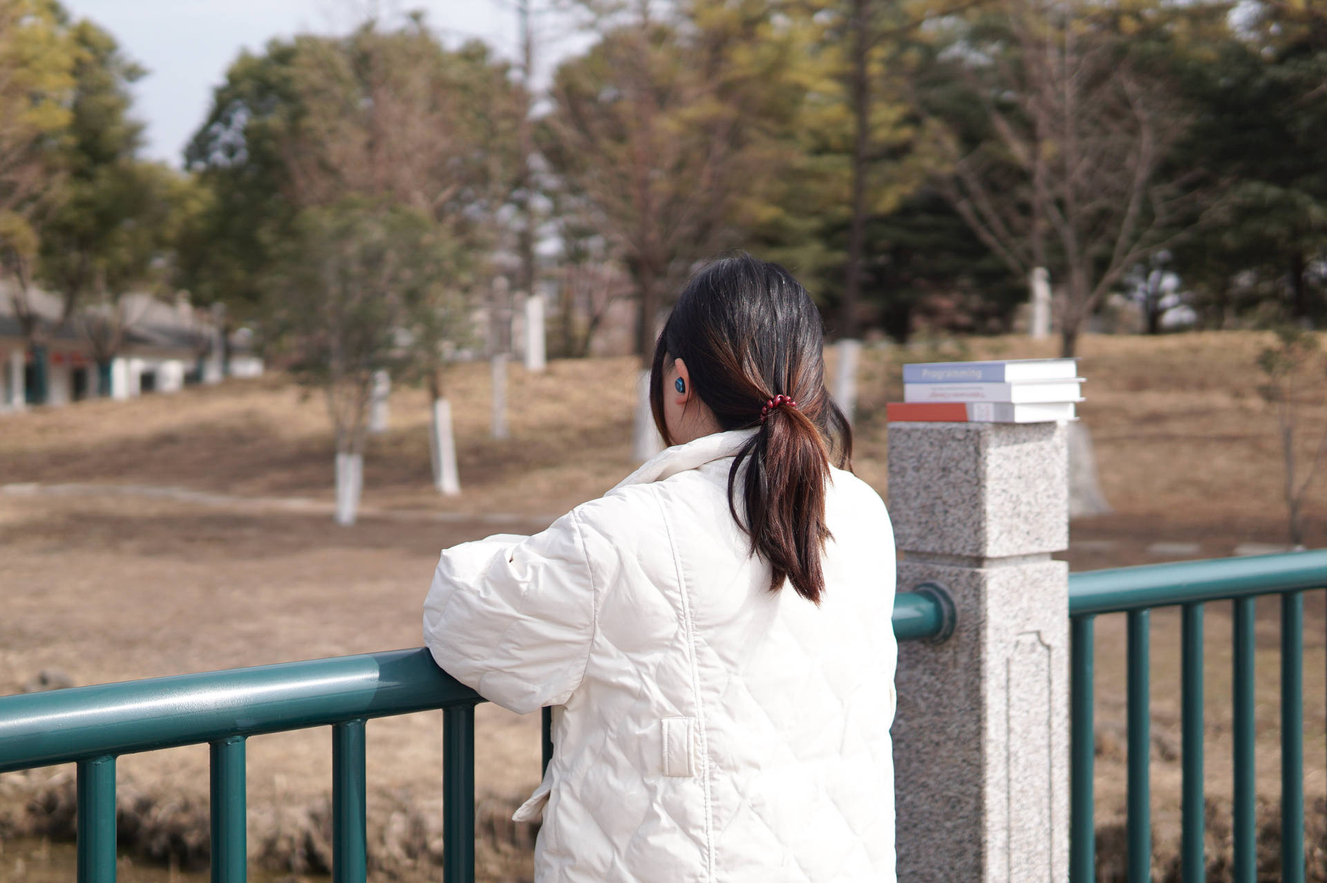 jbl的蓝牙耳机值不值得买,jbl蓝牙耳机各款评价