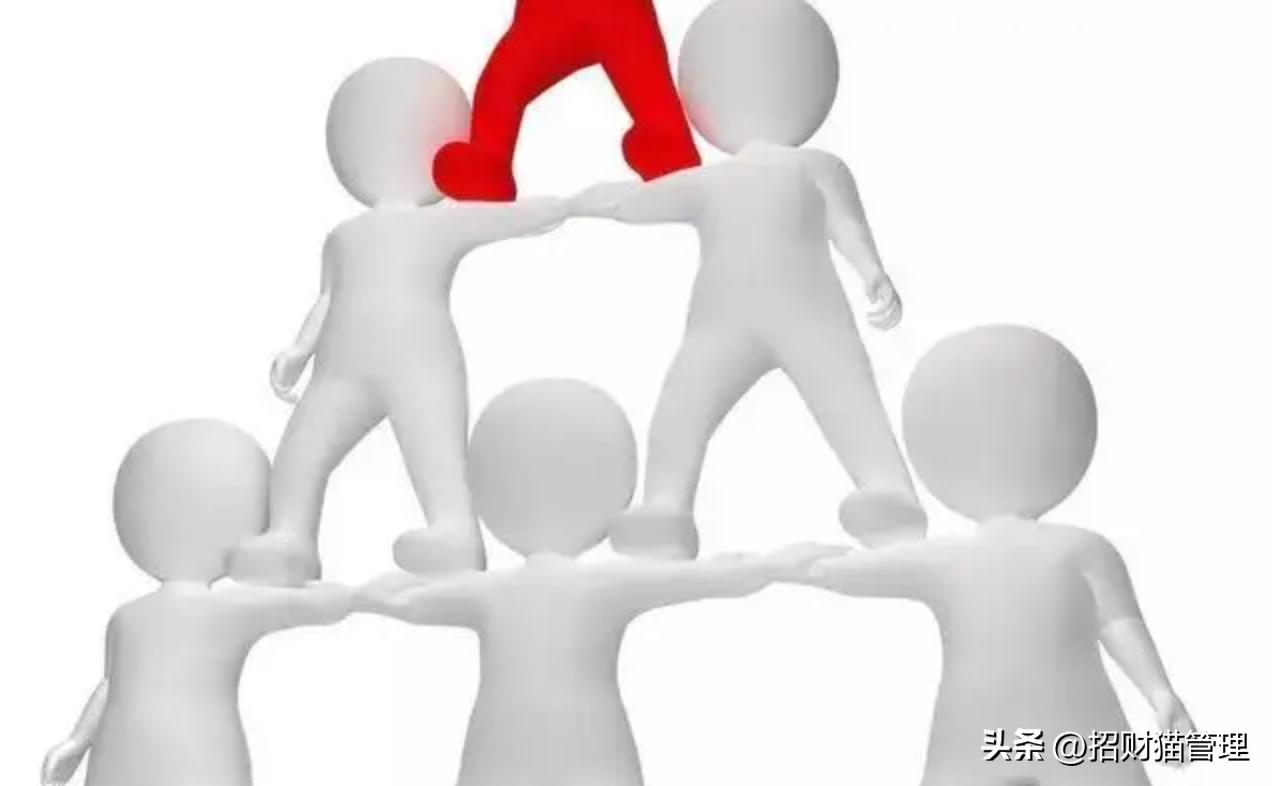 为什么要招商加盟,为什么招商难