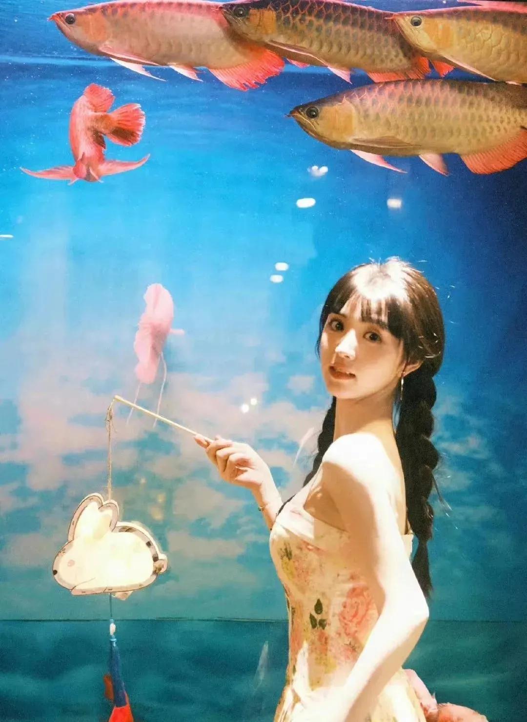 盘点｜最火四大平台的“四大顶流女王”