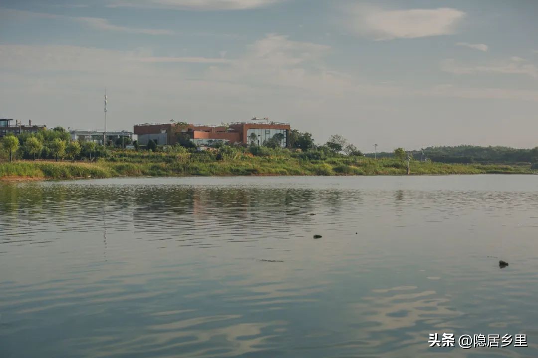 浪漫婚礼风民宿,很火的民宿婚礼