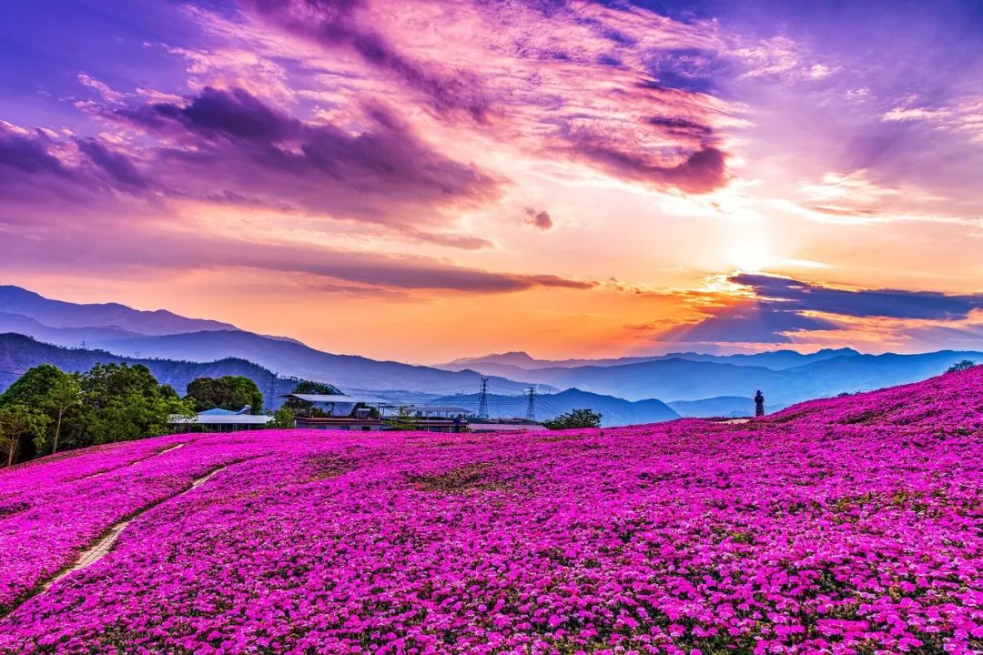 攀枝花领地阳光花城,攀枝花普达阳光康养胜地