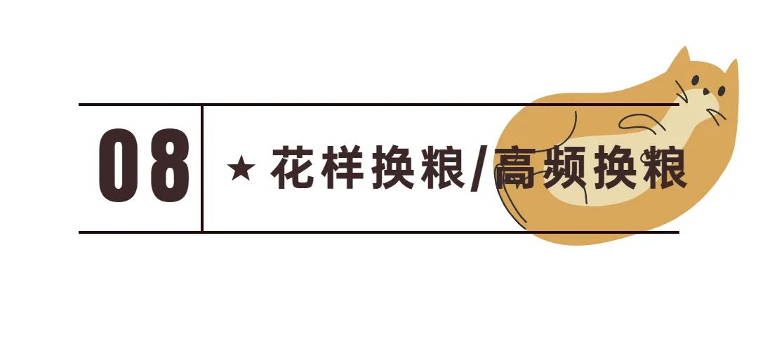 新手常见的害猫行为,看似爱猫实测害猫的五个行为