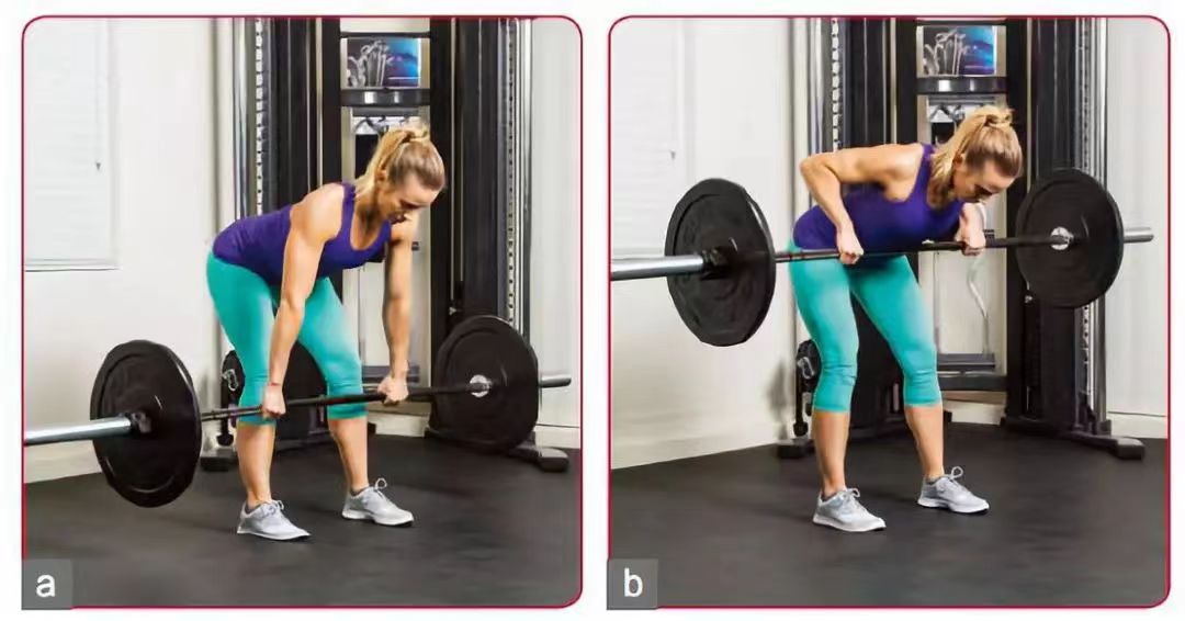 几个动作练掉含胸驼背虎背熊腰,怎样锻炼背部虎背熊腰