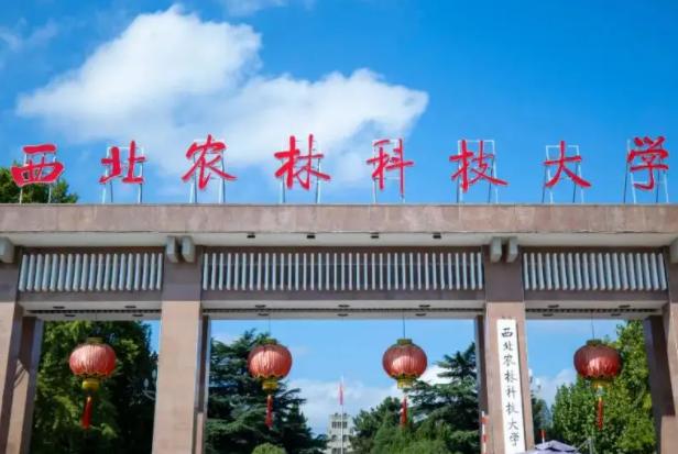 陕西省高校选调,陕西定向选调高校名单