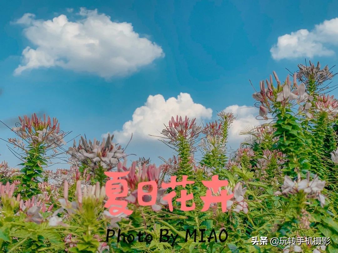 朋友圈发图加水印,朋友圈晒图是什么意思