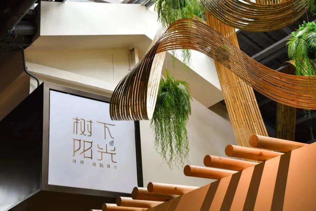 端午假期光明活动超精彩！音乐live、摘荔枝、包粽子……等你解锁！