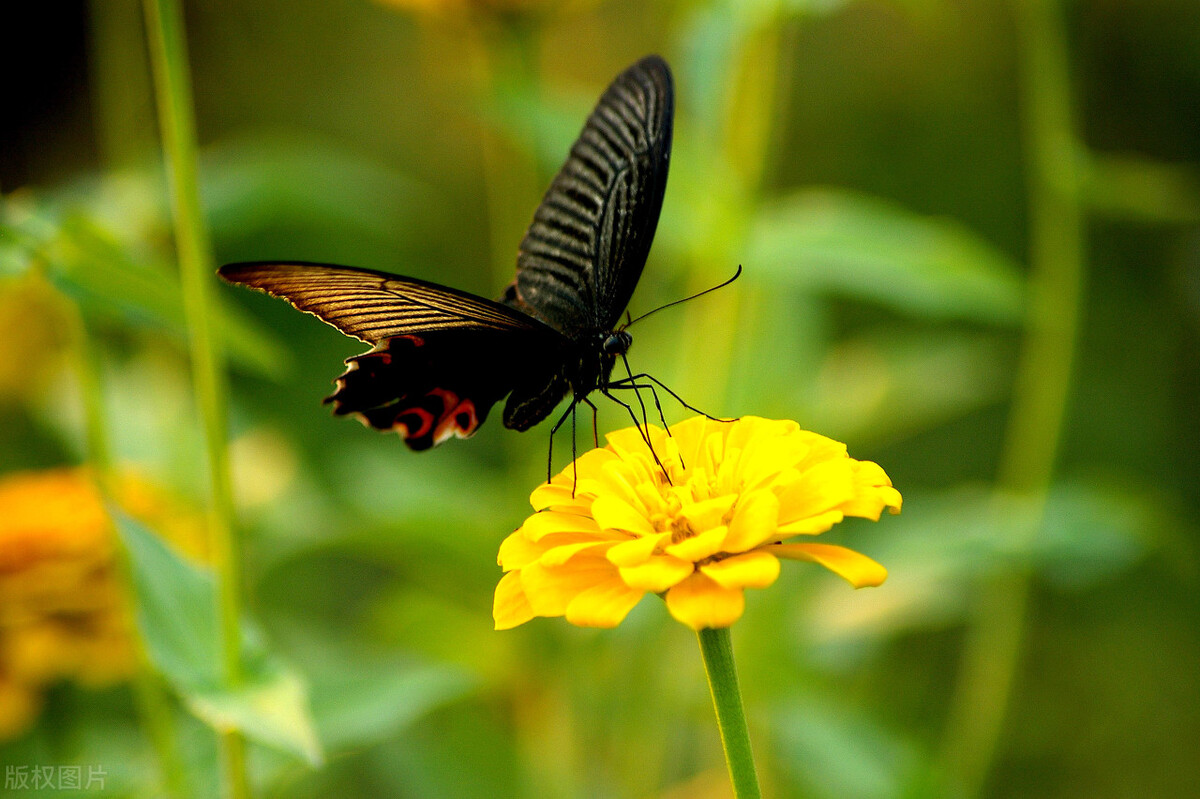 父母不在了兄弟姐妹有必要来往吗,父母不在了兄弟姐妹做好这3件事