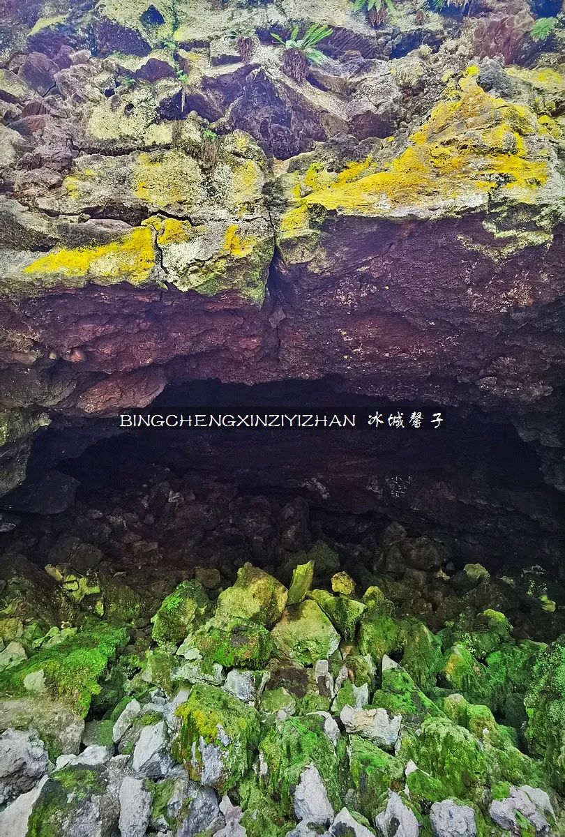 火山口国家森林公园与地下森林,清凉度夏探秘地下森林