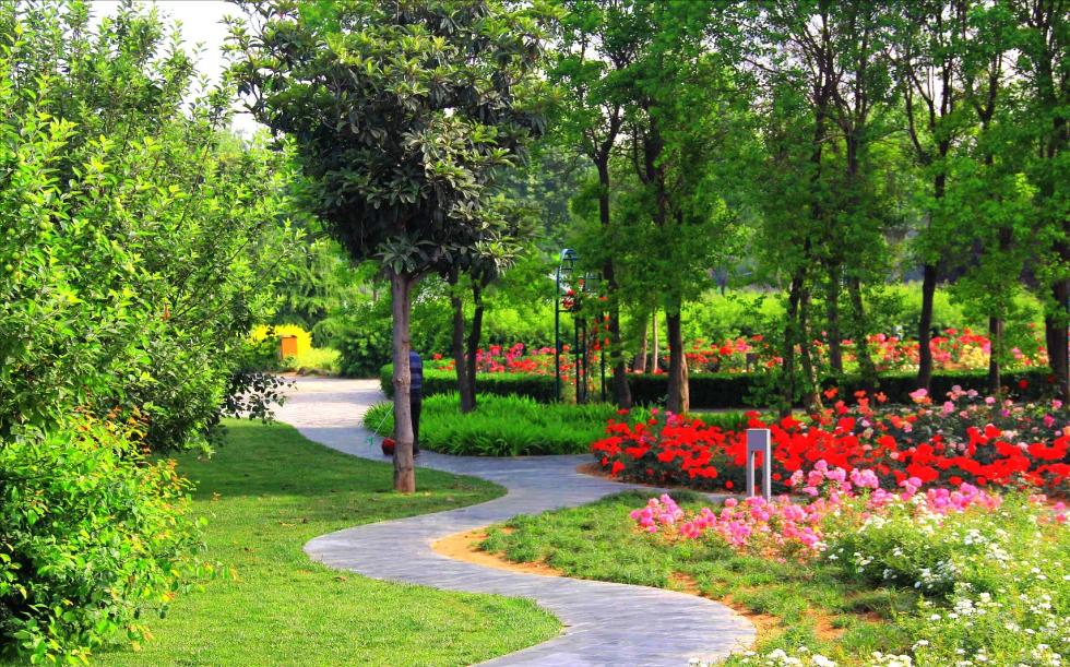 郑州地铁6号线游玩攻略，秋游钓鱼户外烧烤，告诉你哪一站下车