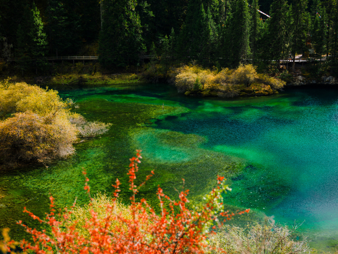 一天来回！别名“小九寨”的油画秋色、高山草甸，一站式游玩到底