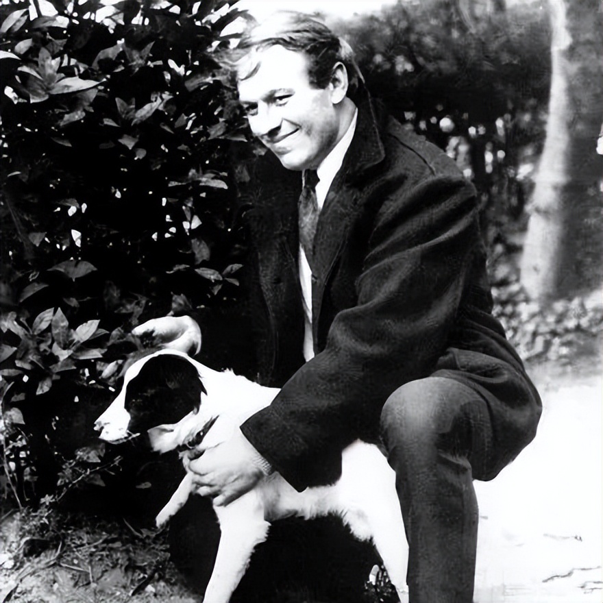 拯救世界杯奖杯的“英雄”狗狗丨足球遇到宠物系列