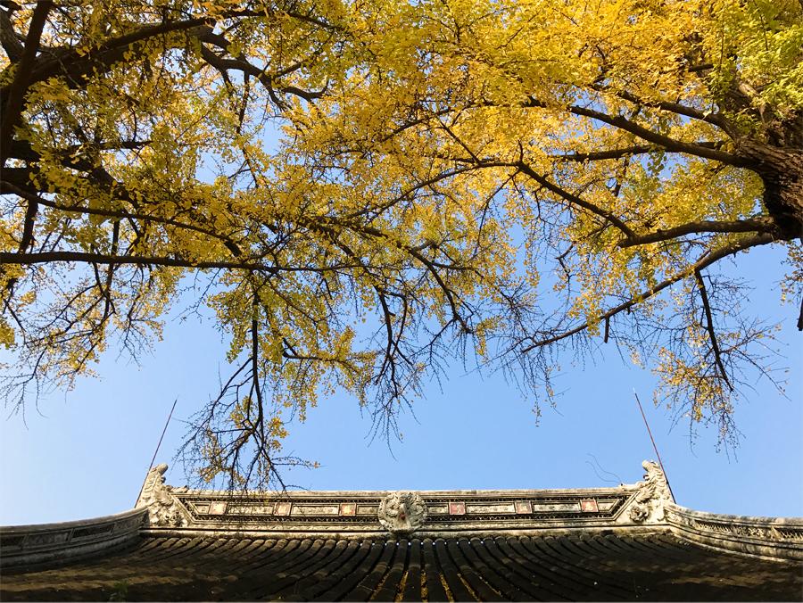 苏州免费游玩的景点推荐,苏州免费最值得游玩的景区推荐