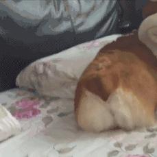 外阴疖病怎么治疗,外阴疔疮怎么治疗最快