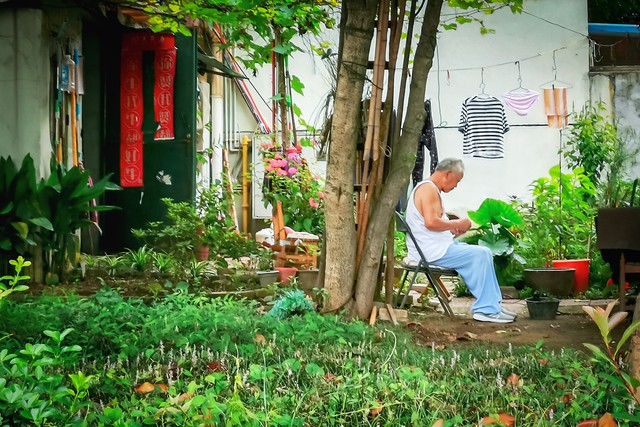 2022年三伏哪天开始哪天结束,2023年入伏三伏时间表共多少天