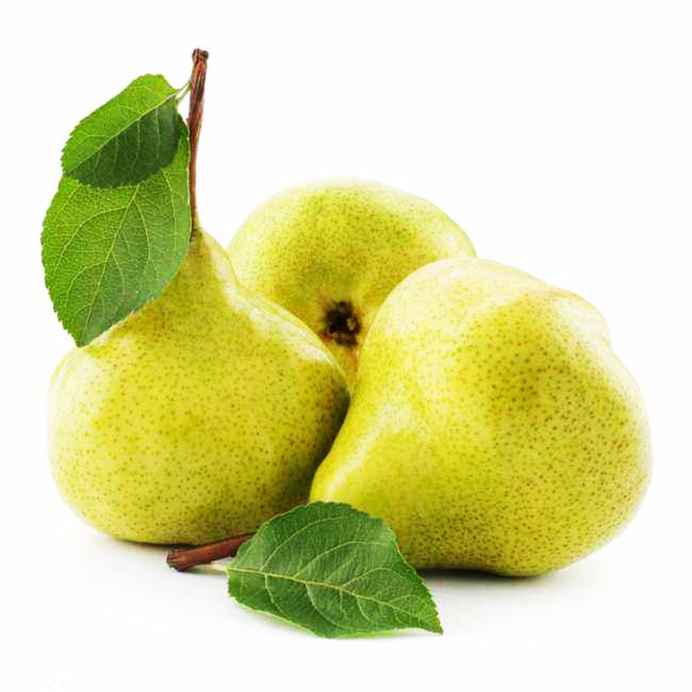 梨被人们誉为百果之宗的水果,梨被誉为百果之宗