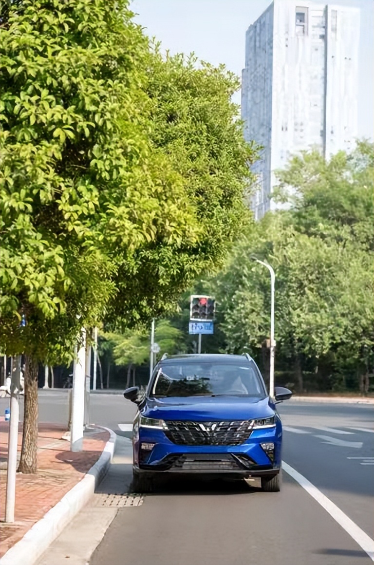 星驰觅食记，小院下午茶