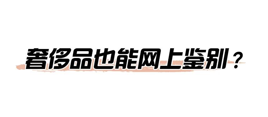 100个假爱马仕,爱马仕包怎么看真假鉴定