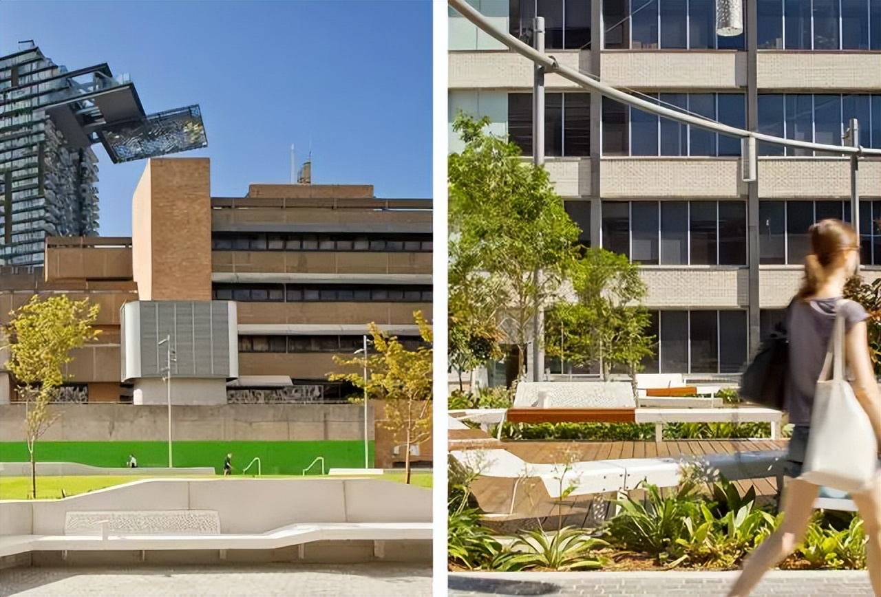 大学校园绿化设计,现代校园绿化规划设计