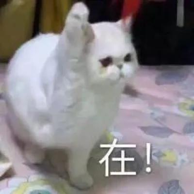 表情包我不想上班可是上班有钱,羡慕你们不用上班又有钱表情包