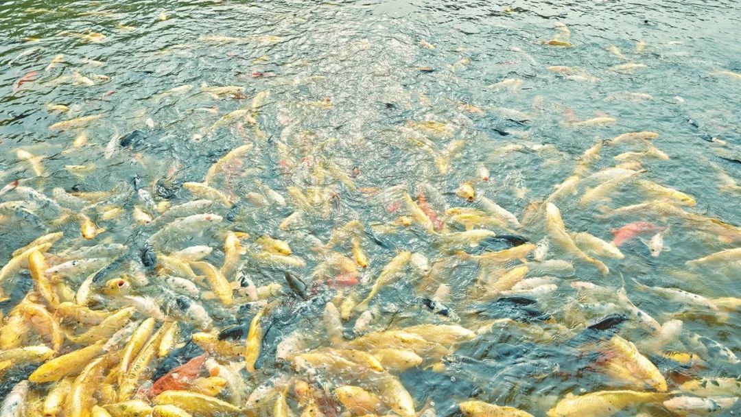 北京服装艺术学院考研招生简章,京美考研