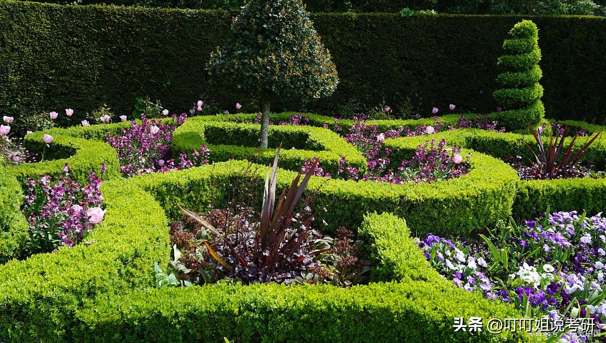 园艺学属于林学吗,园艺专业属于哪个科目